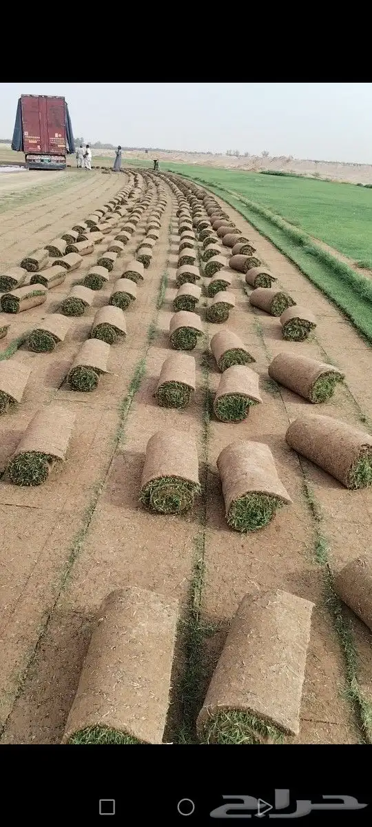 ثيل انتورو الإسباني وسي 2000 مزارع الخرج توريد وتركيب 1