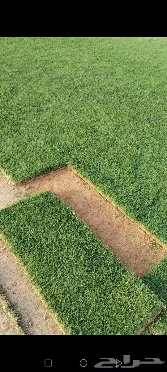 ثيل انتورو الإسباني وسي 2000 مزارع الخرج توريد وتركيب 4