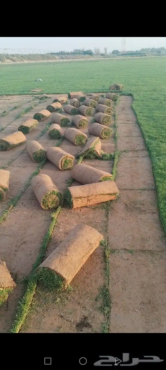 ثيل انتورو الإسباني وسي 2000 مزارع الخرج توريد وتركيب 7