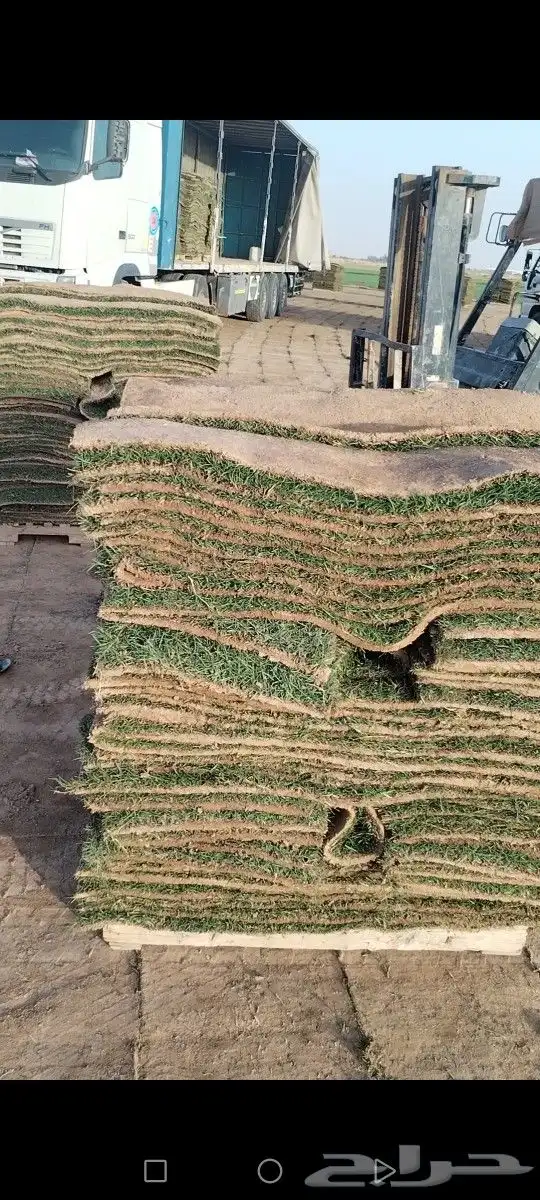 ثيل انتورو الإسباني وسي 2000 مزارع الخرج توريد وتركيب 3