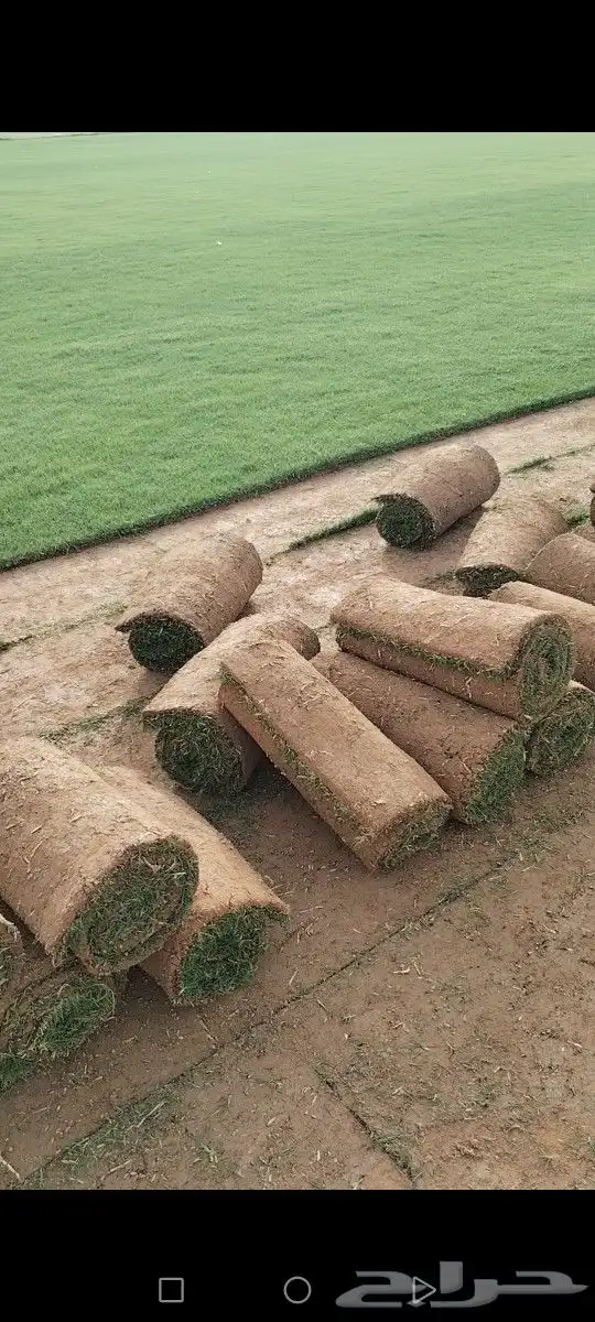 ثيل انتورو الإسباني وسي 2000 مزارع الخرج توريد وتركيب 0