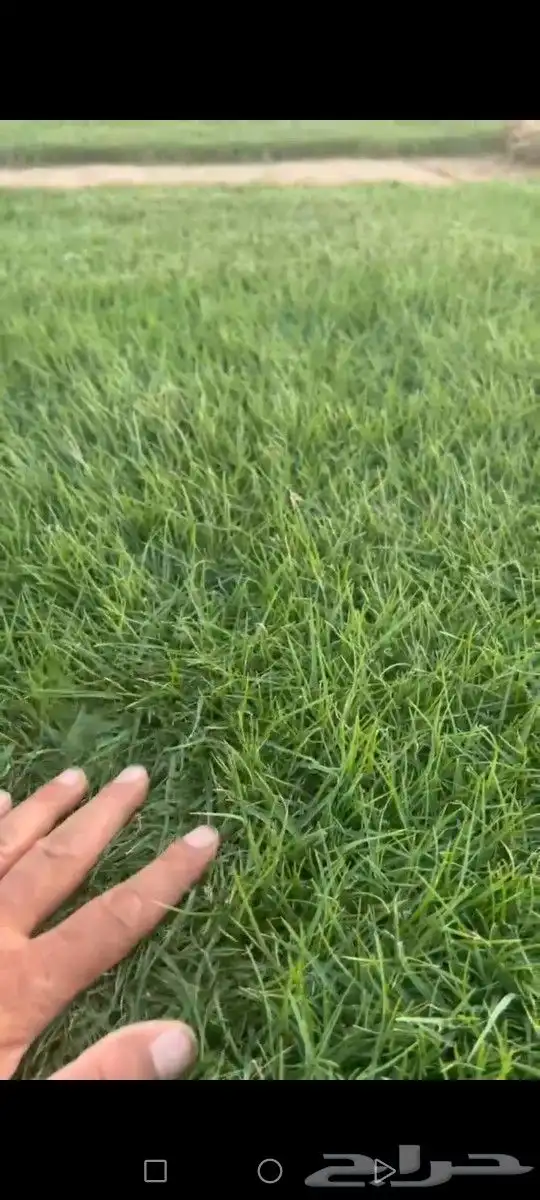 ثيل انتورو الإسباني وسي 2000 مزارع الخرج توريد وتركيب 2