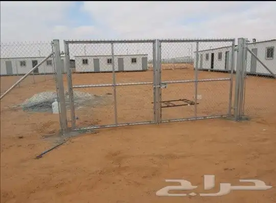 زراعه نخيل 3