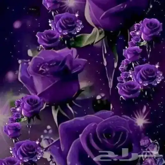 متعهده دروس خصوصيه في جميع أنحاء المملكة 0