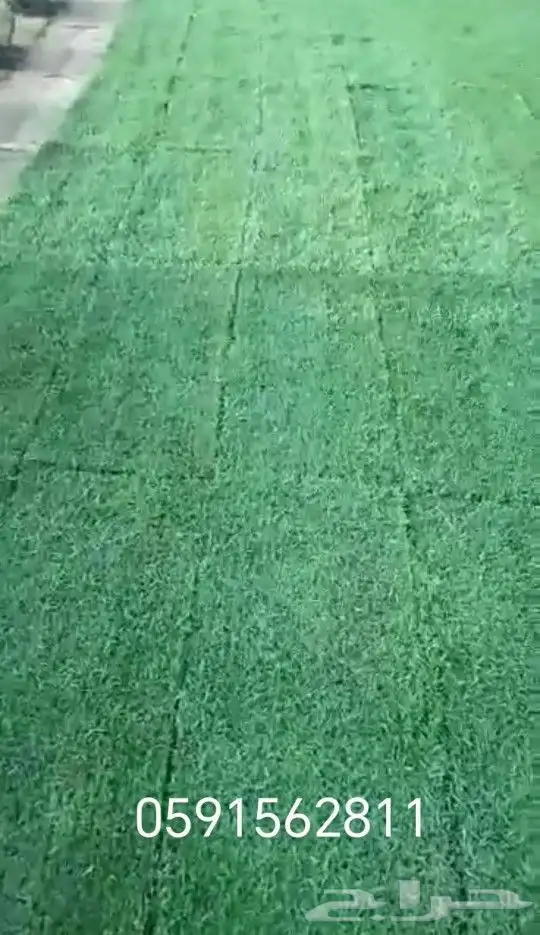 ثيل طبيعي درجه اولى 6