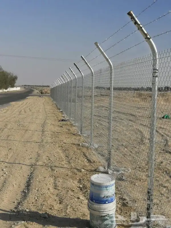 زراعه نخيل 6