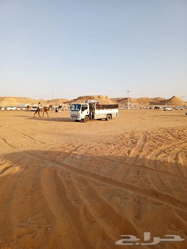دينا ونش هيدروليك لنقل الإبل متواجد بمزاد عنيزه 0