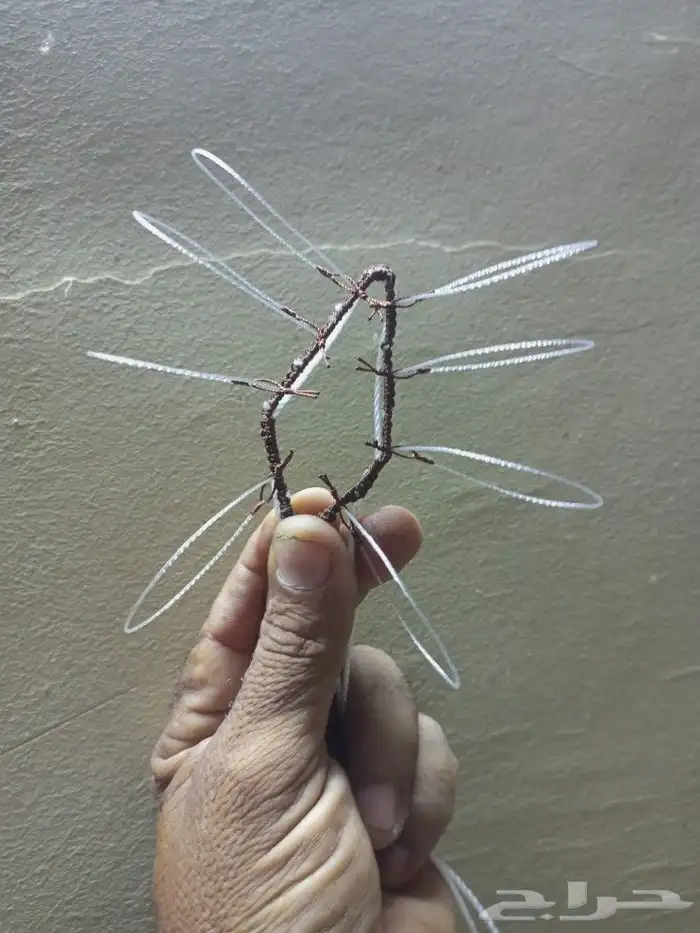 شبك لصيد الصقور 3