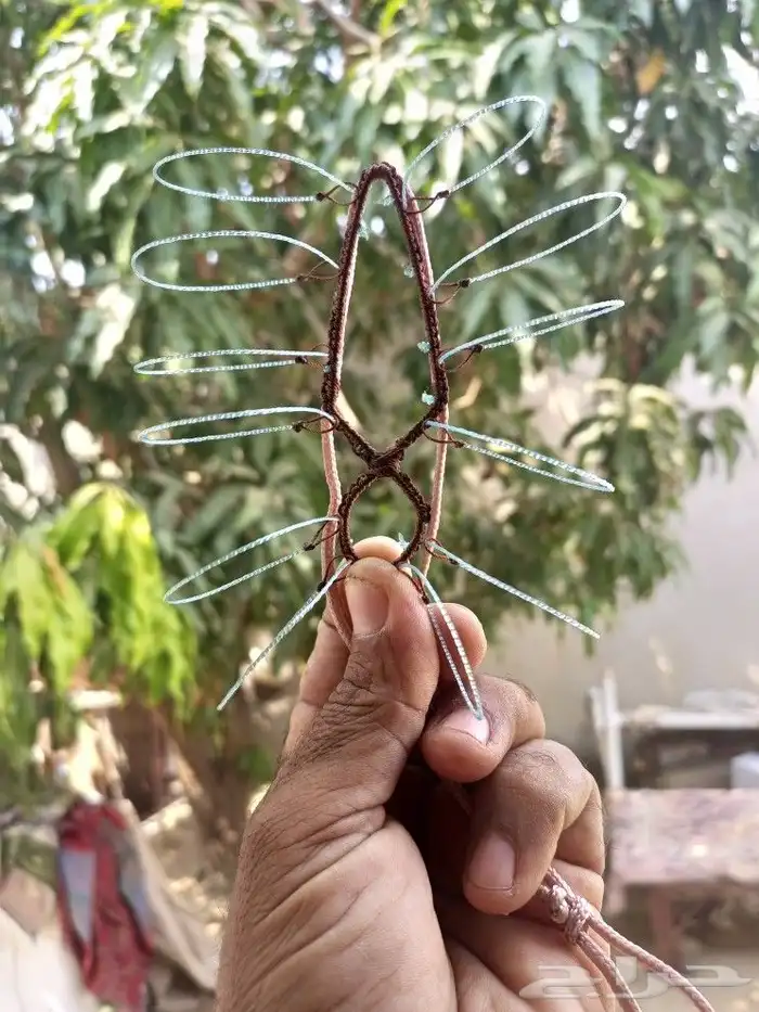 شبك لصيد الصقور 0