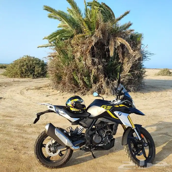 BMW GS310 2021 8