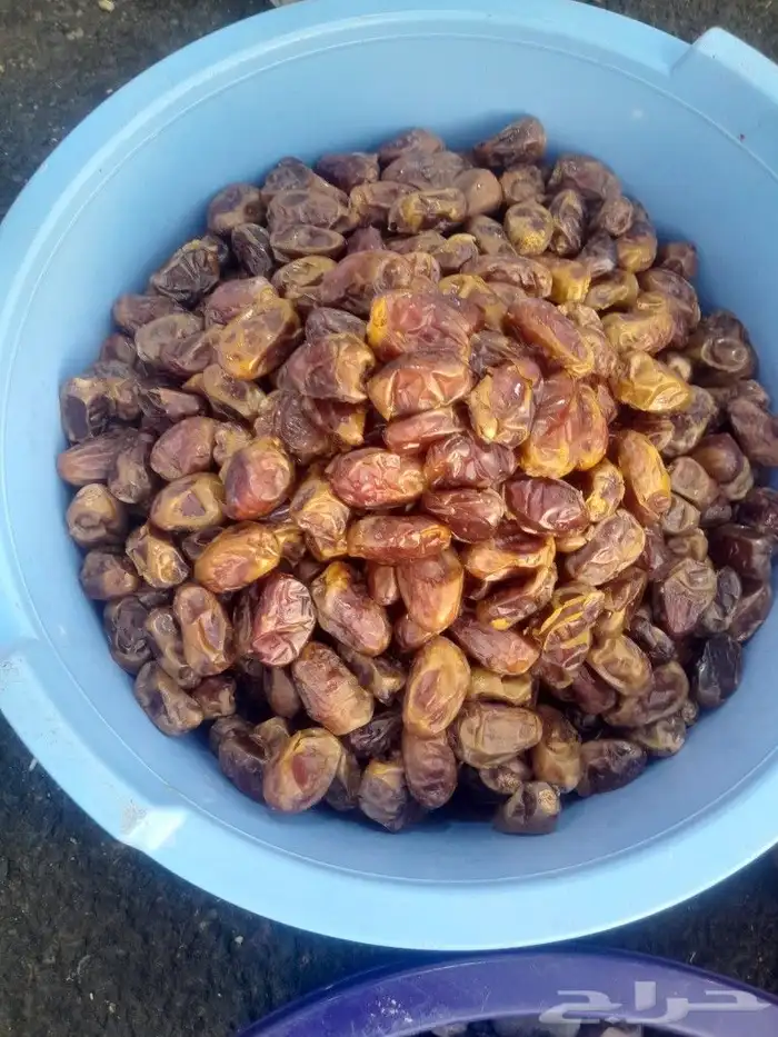 تمور حائل الفاخره 3