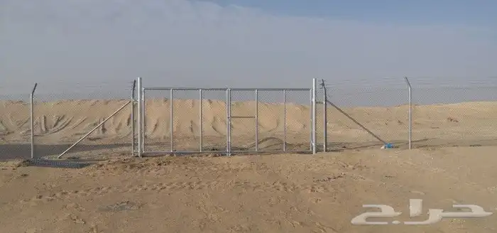 زراعه نخيل 8