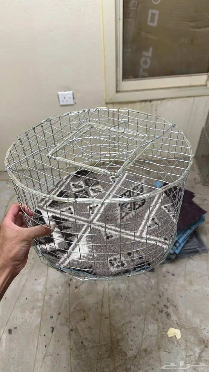اقفاص ومستلزمات طيور 14