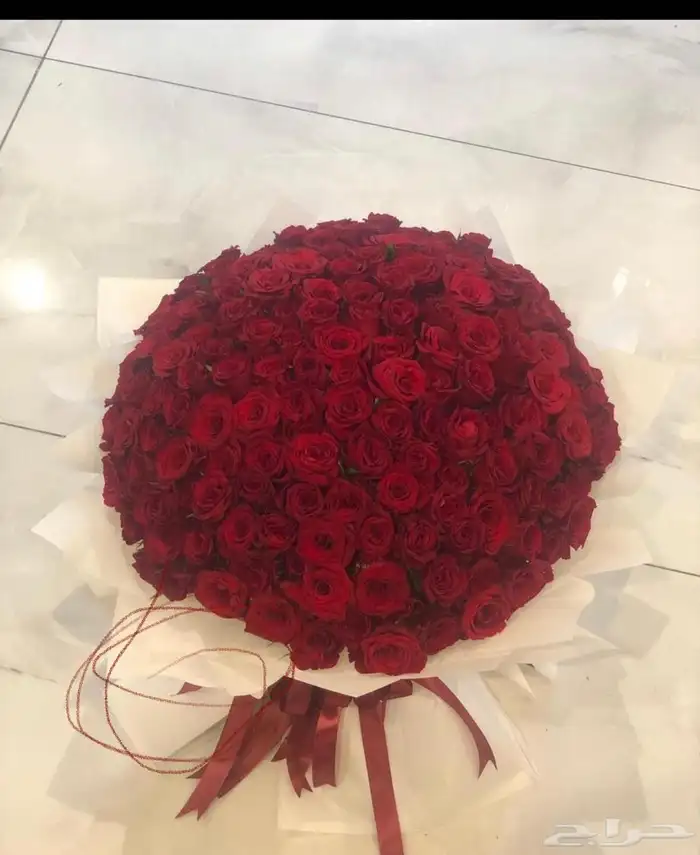 مندوب توصيل صامطة وجيزان وضواحيها 21