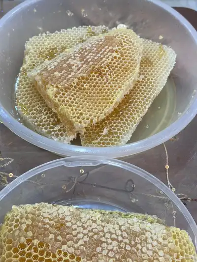 عسل طبيعي 100   100 3