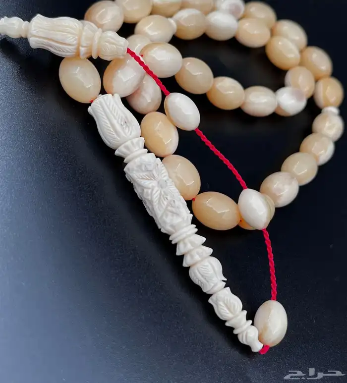 ناب حوت النارون توصيل جميع المملكه 0