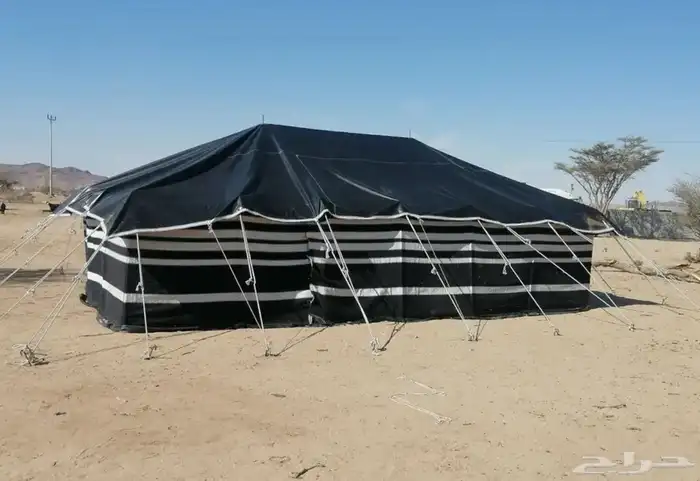 بيوت شعر وخيام 11