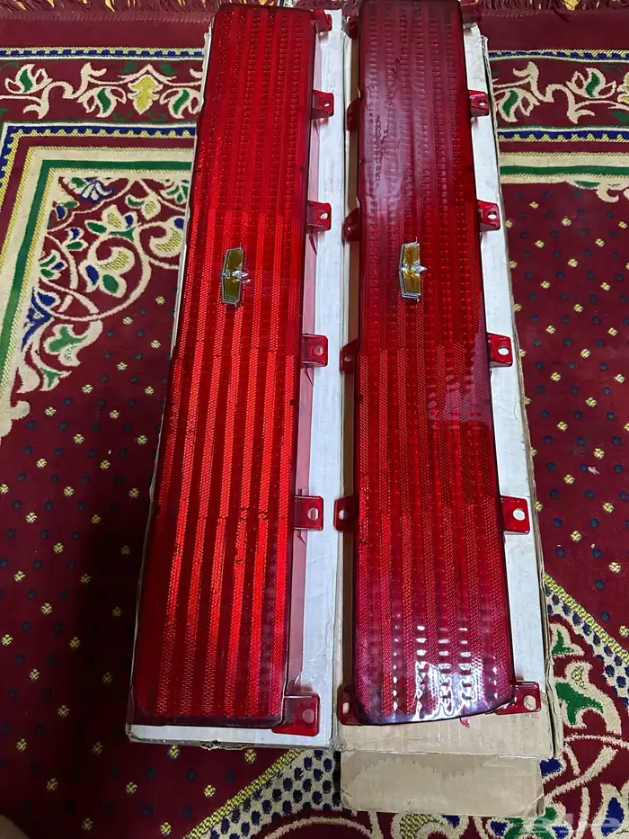 قشرة اسطبات خلفية الى الكابرس 1