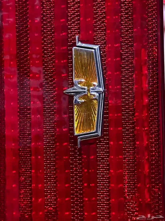 قشرة اسطبات خلفية الى الكابرس 0