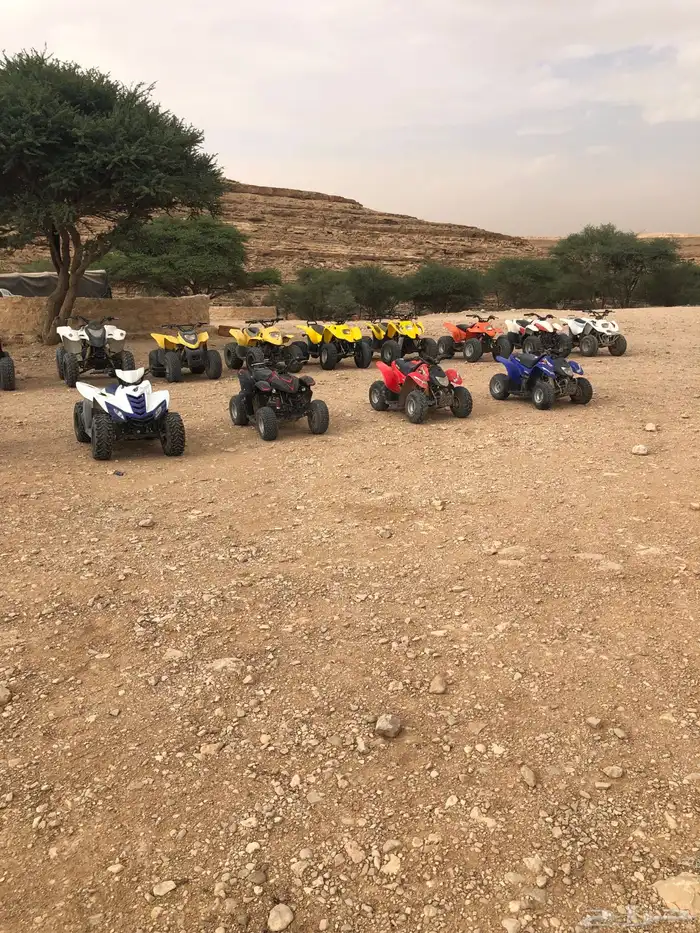 تاجير دبابات 4