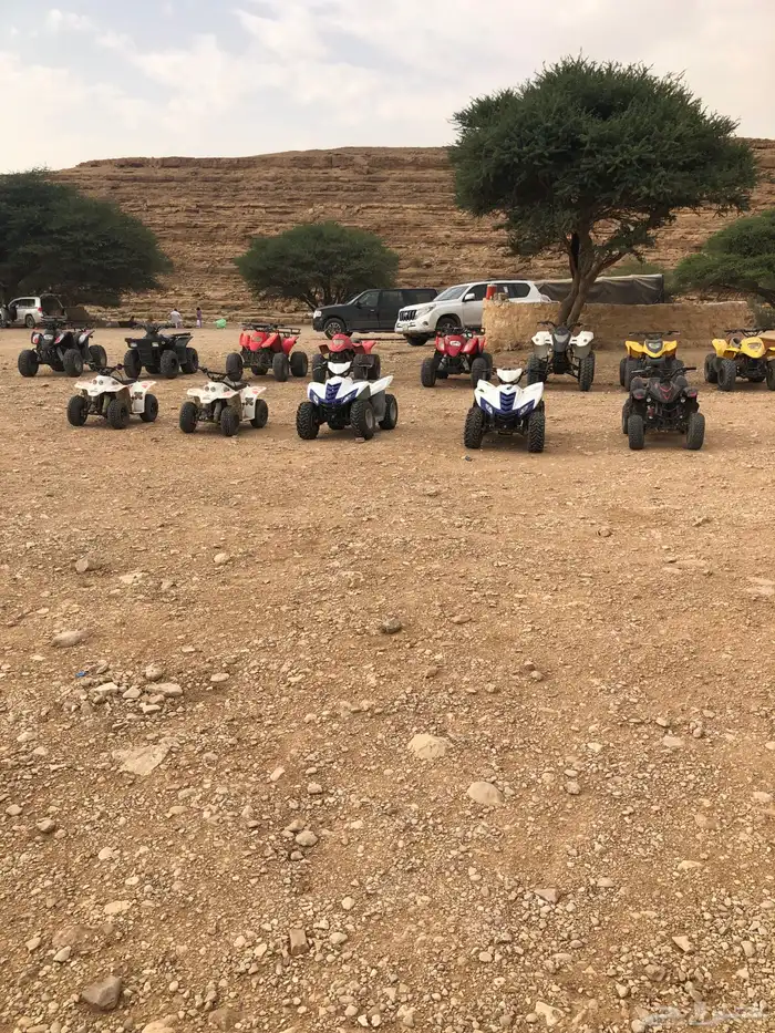 تاجير دبابات 3