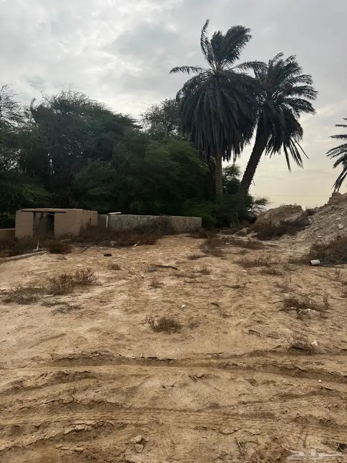للبيع مزرعة الحناه 9