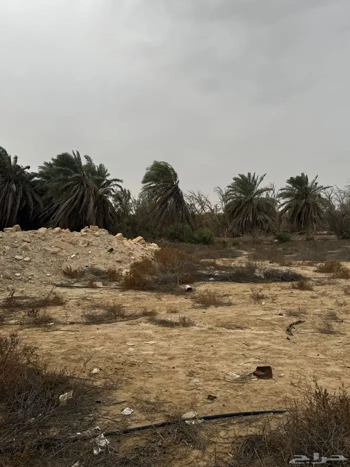 للبيع مزرعة الحناه 7