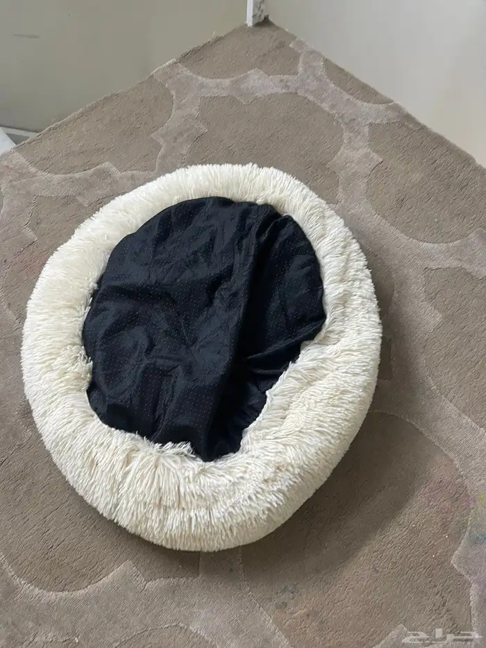 بيت قطه 1