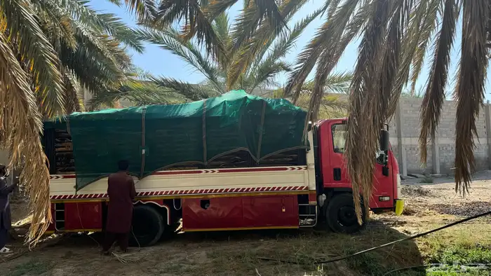 جريد سعف عسيب 8
