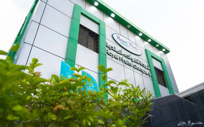 مصورة منتجات فوتو وفيديو ومصورة فيديو UGC 5