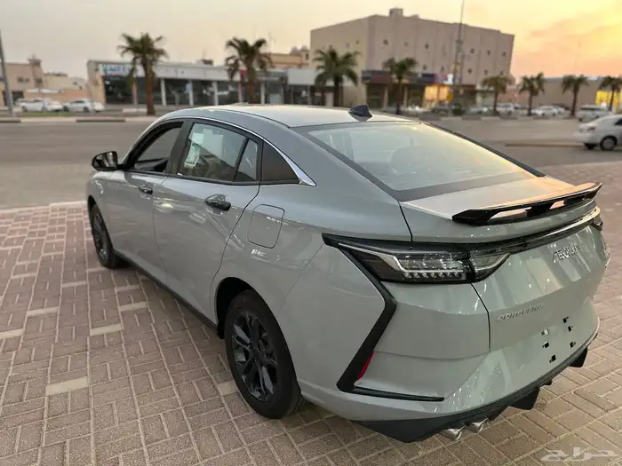 دونق فونق شاين 2024 12