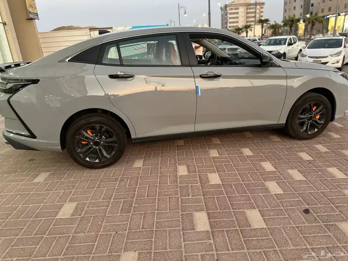 دونق فونق شاين 2024 18