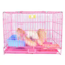 بيت قطط قفص قط بساس 27
