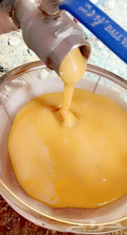 عسل سدر صافي  درجة أولى 0