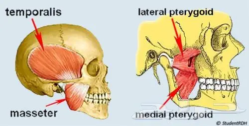 دروس خاصة لطلبة كليات الطب 0