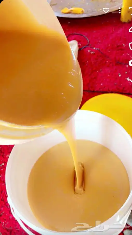 عسل سدر صافي  درجة أولى 1