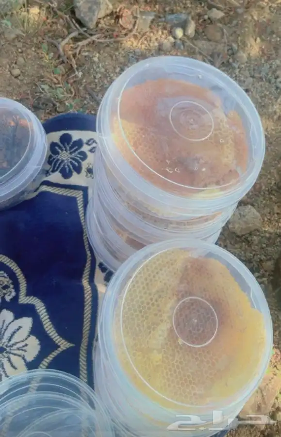 عسل سدر صافي  درجة أولى 3