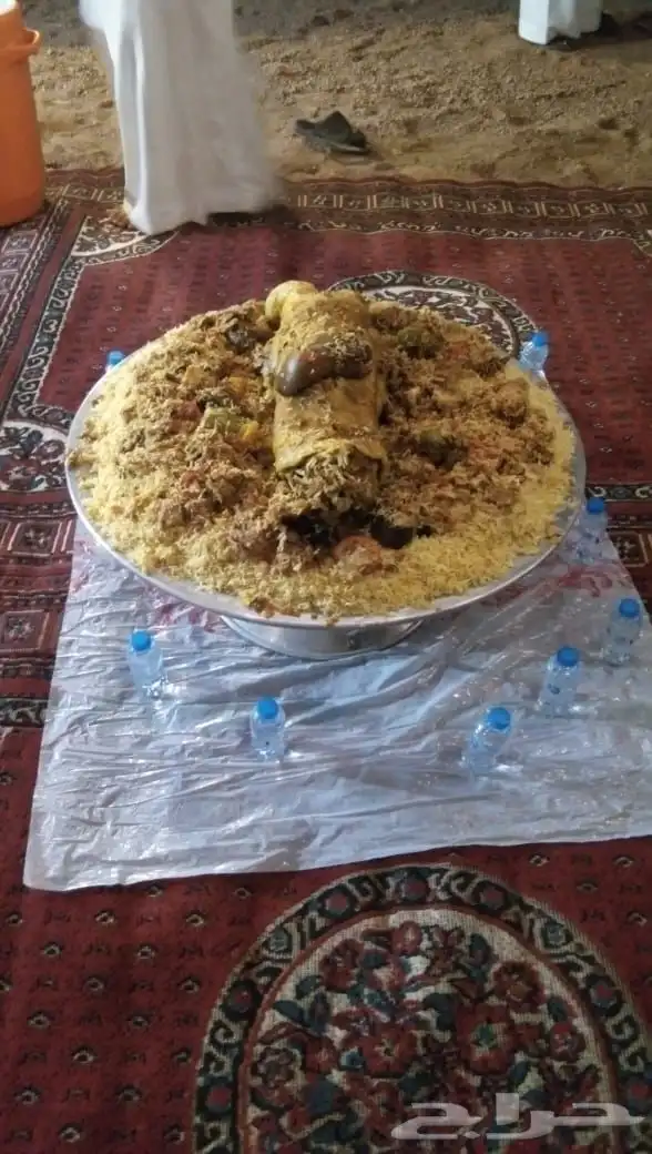 قيلة يوم رحلات بريه 5