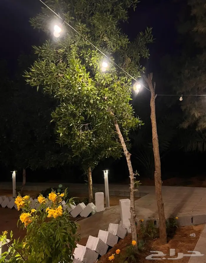 شاليه ومنتجع رشه مطر الريفي 5