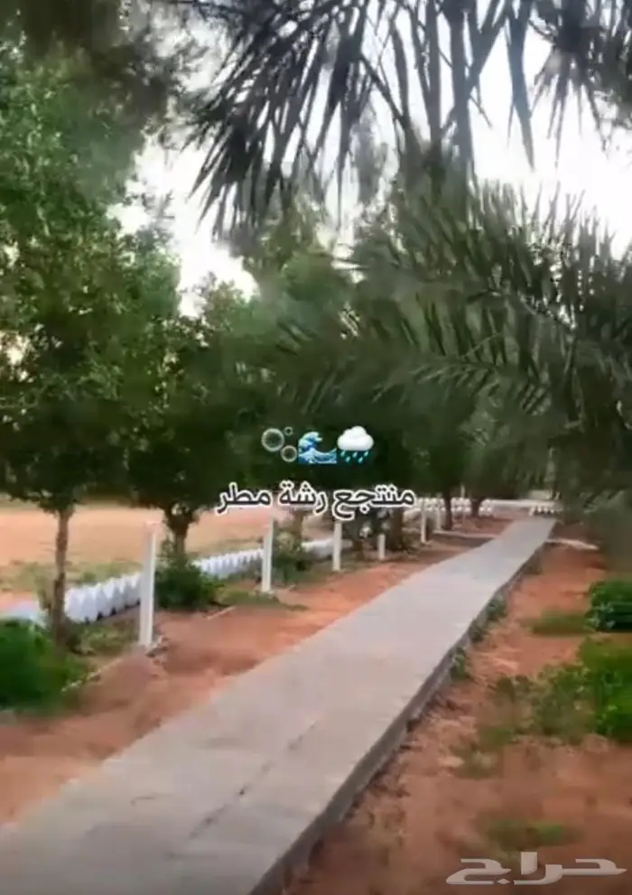 شاليه ومنتجع رشه مطر الريفي 1
