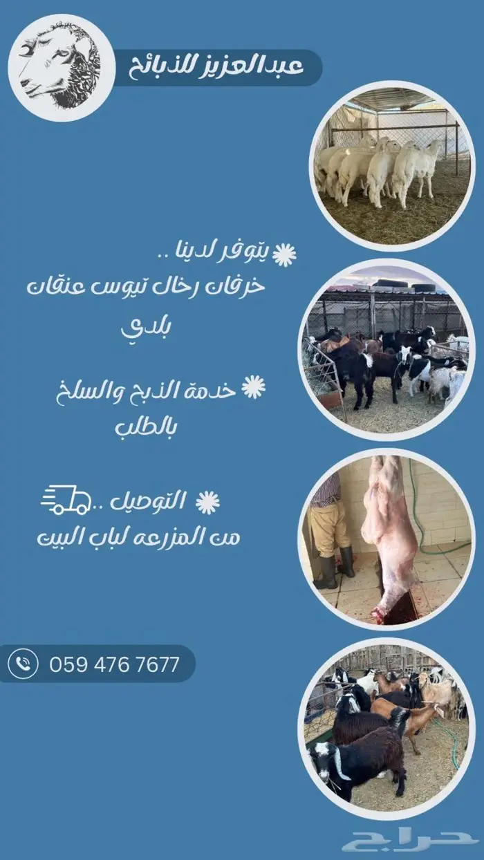 ذبايح ثلاجه او مناسبات 0