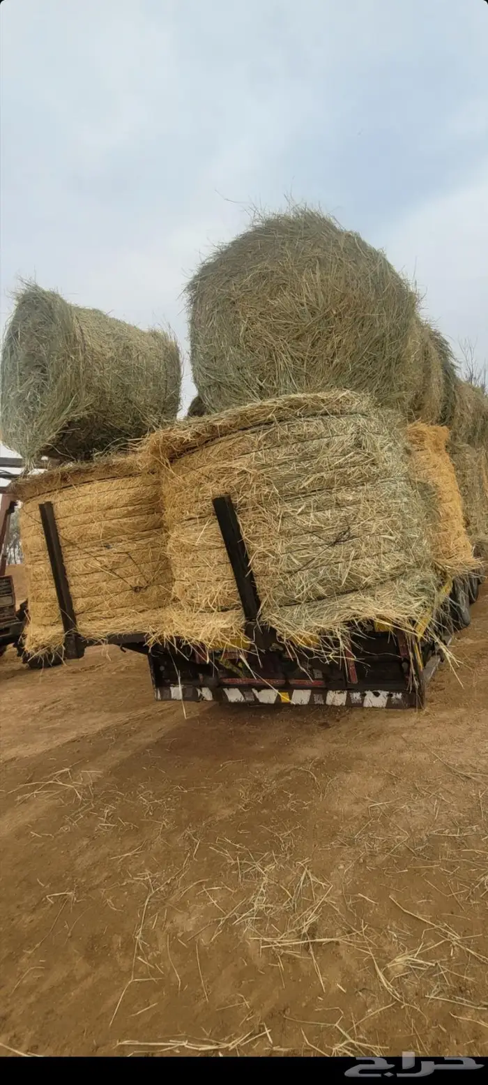 اللبيع. لفات.رودس.كوم.نظيف.شد سعودي. طيب العداد. 1000لفه 0