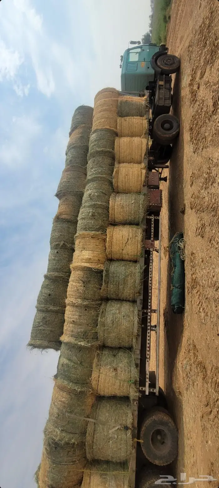 اللبيع. لفات.رودس.كوم.نظيف.شد سعودي. طيب العداد. 1000لفه 1