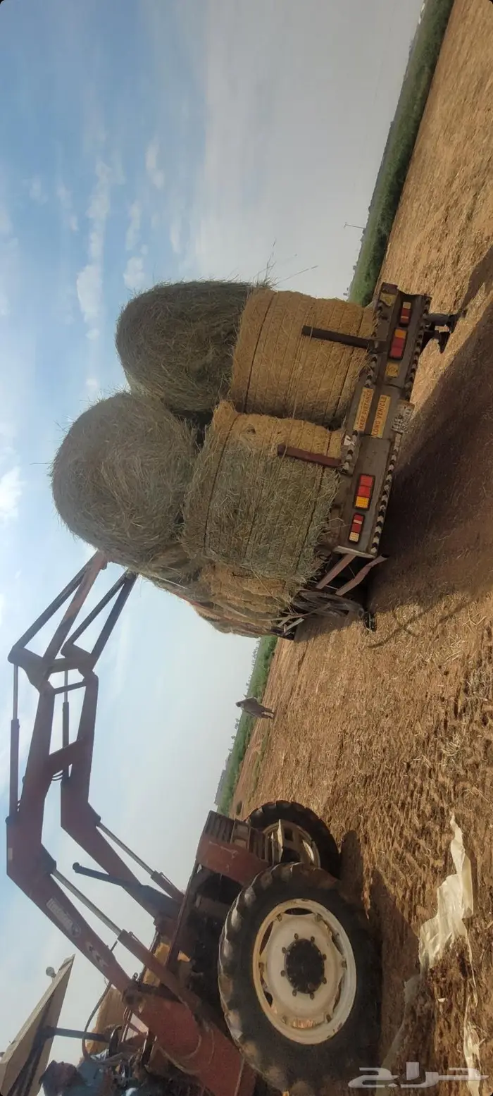 اللبيع. لفات.رودس.كوم.نظيف.شد سعودي. طيب العداد. 1000لفه 3