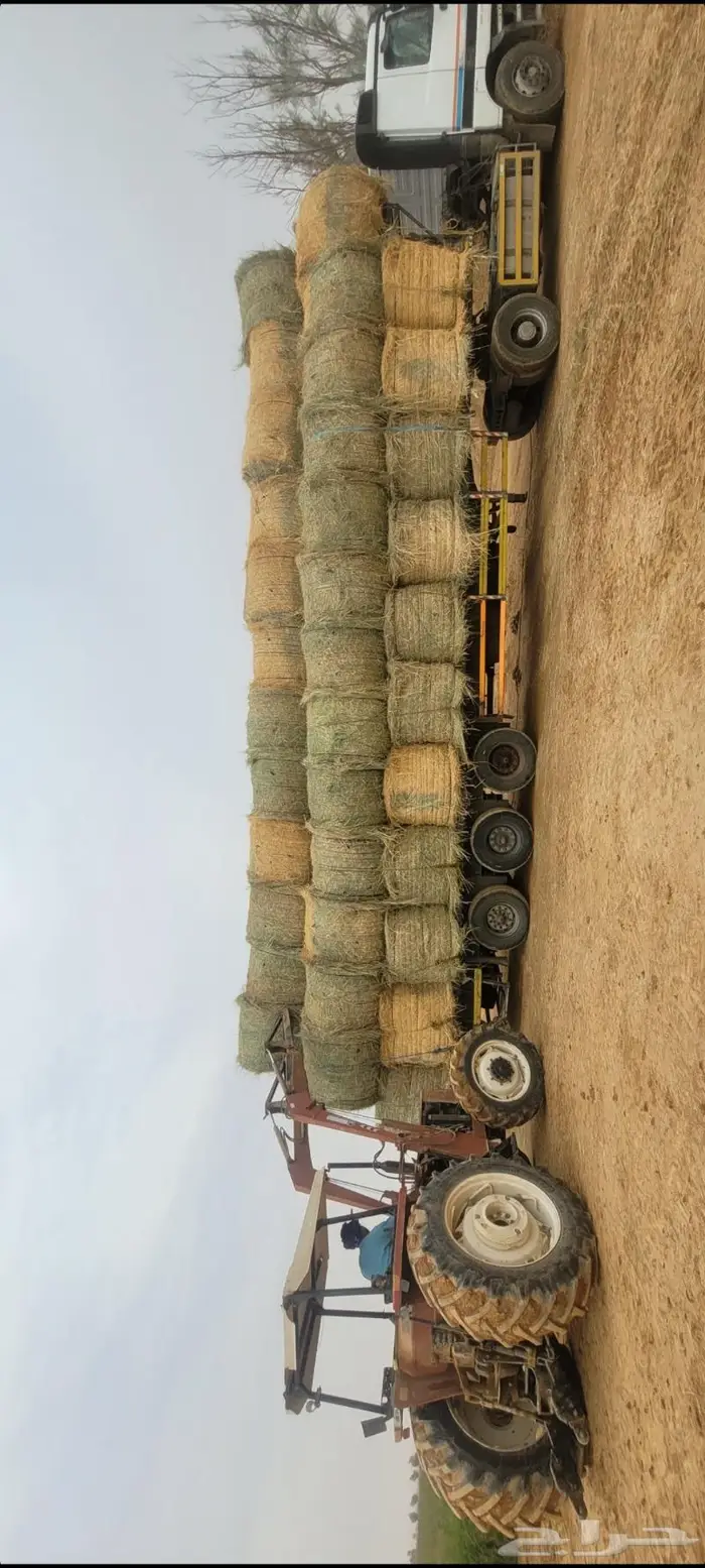 اللبيع. لفات.رودس.كوم.نظيف.شد سعودي. طيب العداد. 1000لفه 4