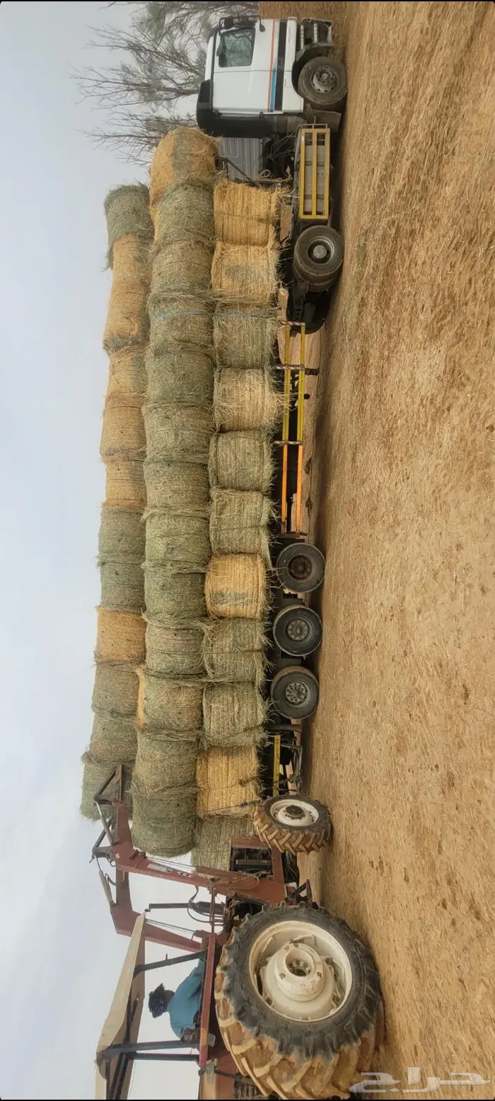 اللبيع. لفات.رودس.كوم.نظيف.شد سعودي. طيب العداد. 1000لفه 5