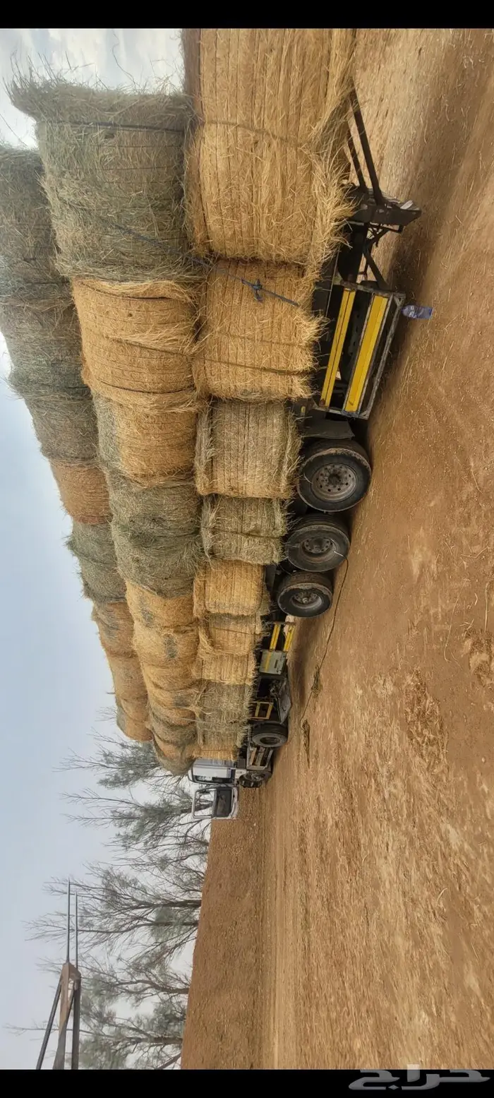 اللبيع. لفات.رودس.كوم.نظيف.شد سعودي. طيب العداد. 1000لفه 6