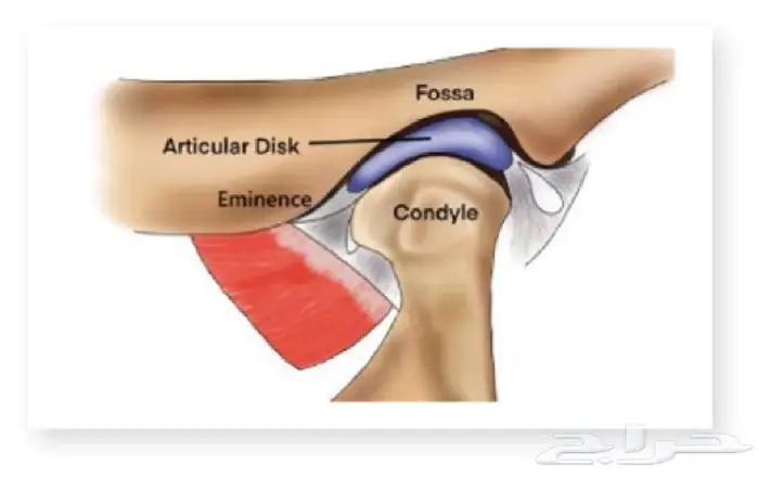 دروس خاصة لطلبة كليات الطب 4
