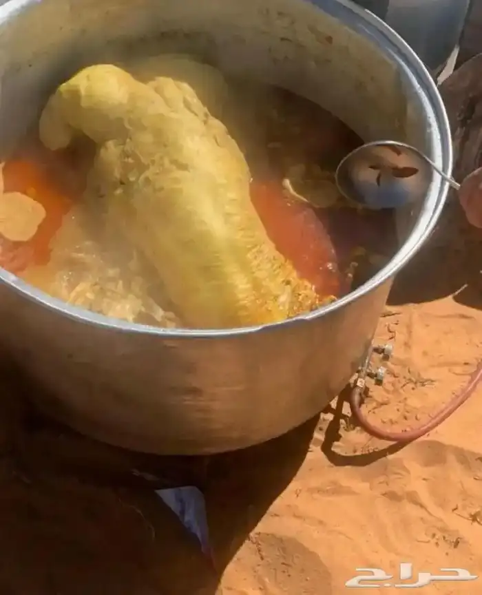 قيلة يوم رحلات بريه 2