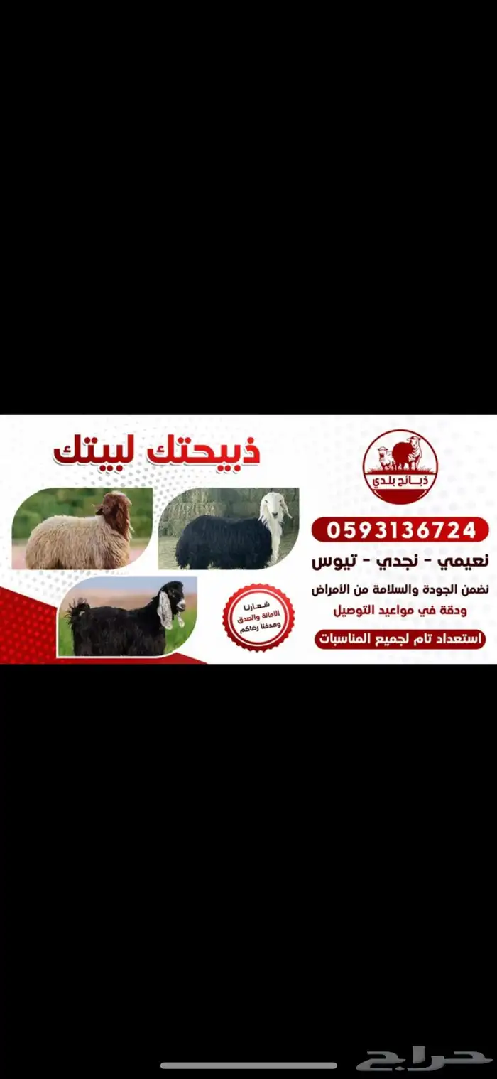 ذبايح بلدي جميع انواع الذبايح تقسيط 1